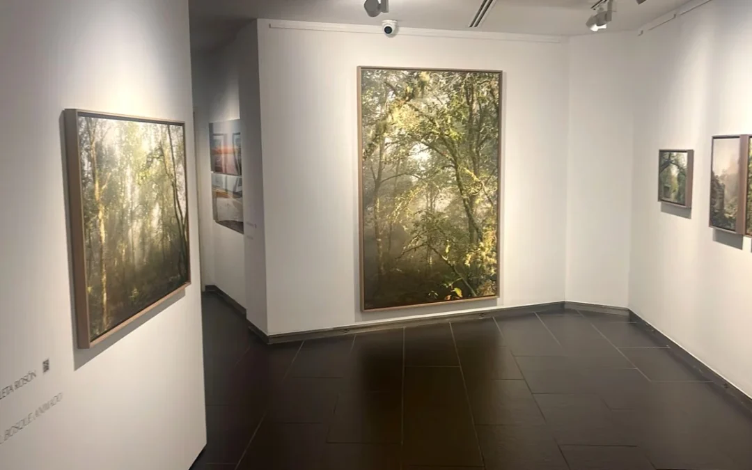 Centro Cultural Fundación Unicaja de Cádiz