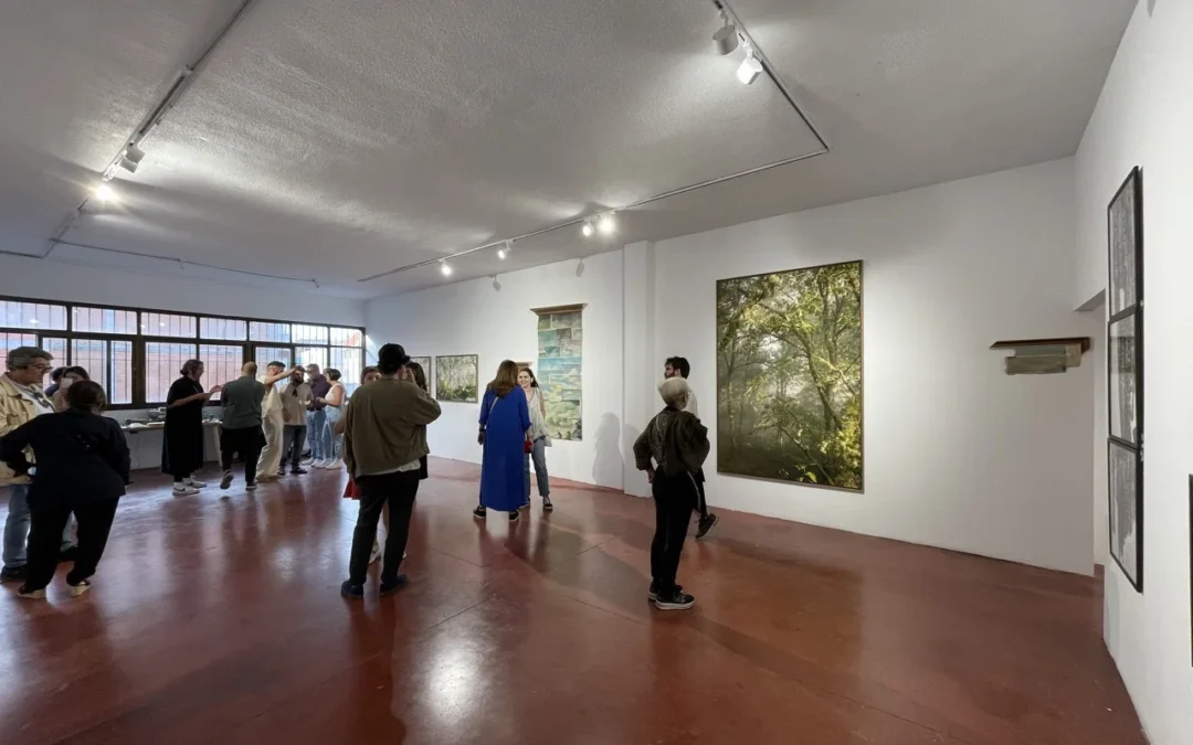 GALERIA GINSBERG